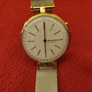 Skagen Dual-Tone Hybrid Smartwatch